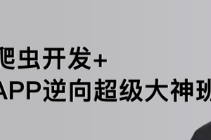 路飞-爬虫开发+APP逆向超级大神班1-7班|价值4999元|2022年|课件完整|无秘包更新