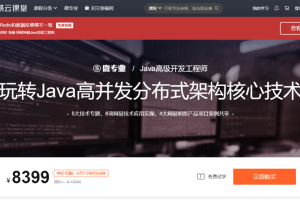 微专业-Java高级开发工程师|课件齐全【价值8399元】|2021年