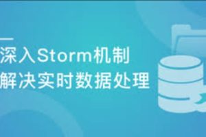 Java大数据实战 Storm构建实时流处理