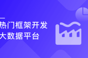 玩转热门框架 用企业级思维 开发通用够硬的大数据平台