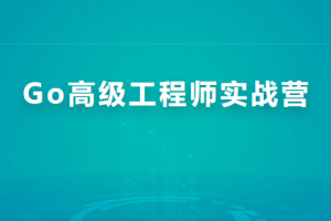 Go高级工程师实战营【价值5390元】完结版