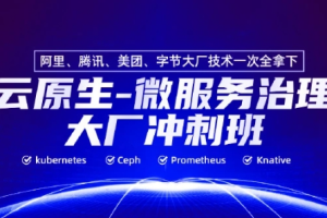 马哥云原生微服务治理大厂冲刺班名师亲授N66（完整，视频+资料）