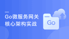(打造简历金牌项目)Vue+Go 开发企业级微服务网关项目