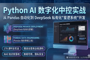 Python AI 数字化实战：从 Pandas 自动化到 DeepSeek “星逻系统”开发