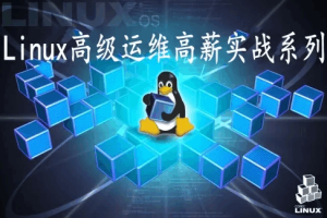Linux视频教程之高级运维企业实战（高级版）